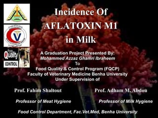 Incidence Of
AFLATOXIN M1
in Milk
A Graduation Project Presented By:
Mohammed Azzaz Ghamri Ibraheem
Food Quality & Control Program (FQCP)
Faculty of Veterinary Medicine Benha University
Under Supervision of
Prof. Fahim Shaltout Prof. Adham M. Abdou
Professor of Meat Hygiene Professor of Milk Hygiene
Food Control Department, Fac.Vet.Med, Benha University
 