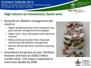 Integrated groundnut aflatoxin management