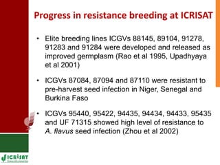 Genetic enhancement of groundnut for resistance to aflatoxin contamination