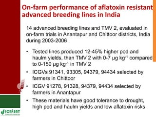 Genetic enhancement of groundnut for resistance to aflatoxin contamination