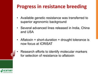 Genetic enhancement of groundnut for resistance to aflatoxin contamination