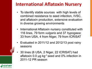 Genetic enhancement of groundnut for resistance to aflatoxin contamination