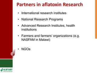 Genetic enhancement of groundnut for resistance to aflatoxin contamination