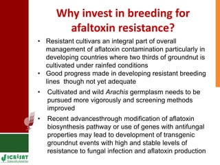 Genetic enhancement of groundnut for resistance to aflatoxin contamination