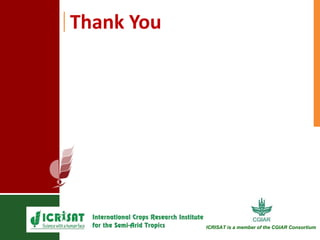 Genetic enhancement of groundnut for resistance to aflatoxin contamination