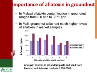 Genetic enhancement of groundnut for resistance to aflatoxin contamination
