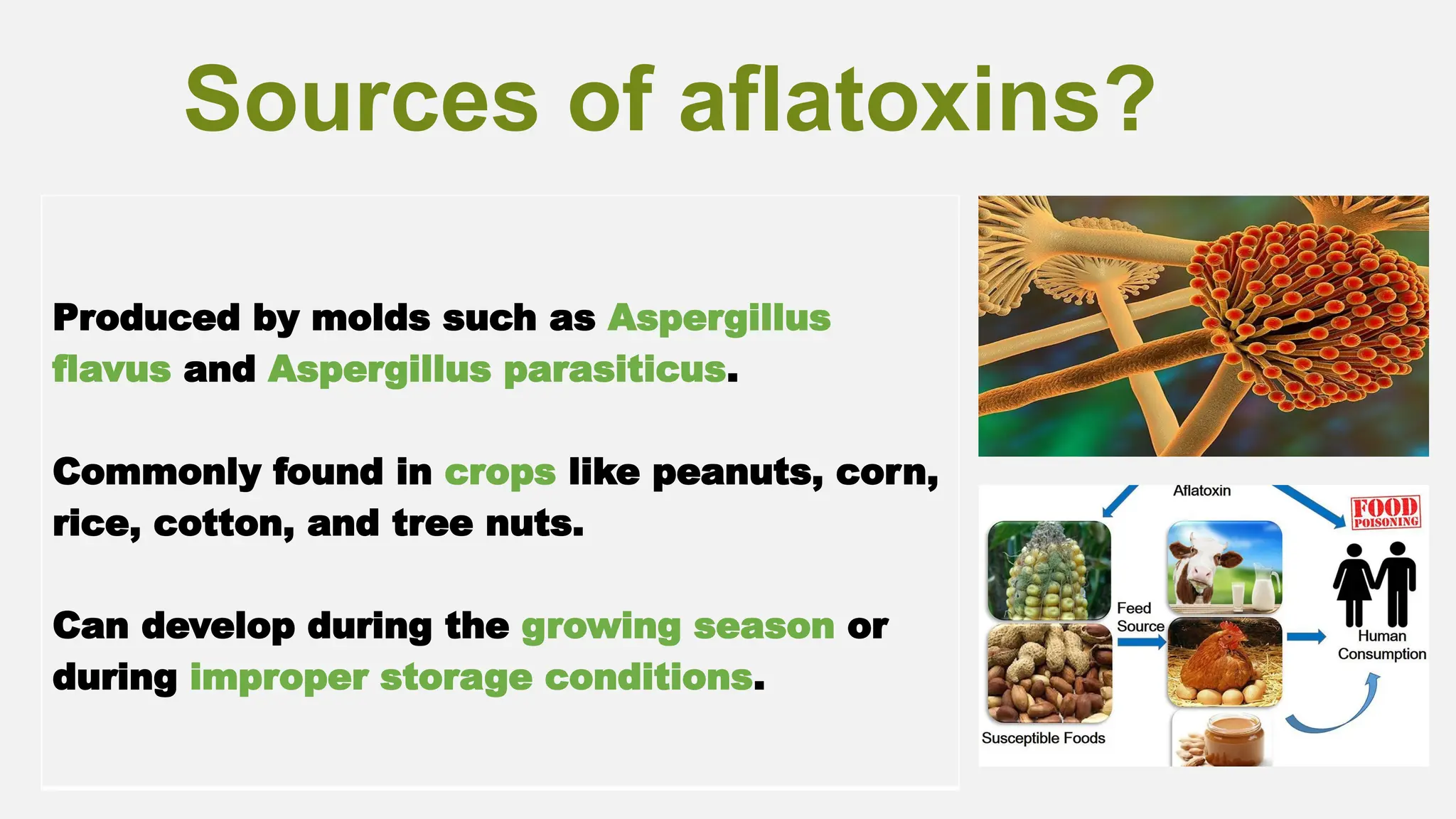 Aflatoxins..........................pptx