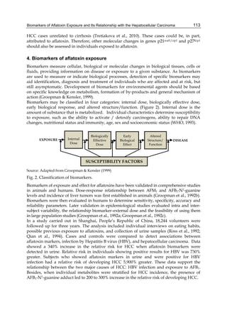 Biomarkers of Aflatoxin Exposure and Its Relationship with the Hepatocellular Carcinoma 
113 
HCC cases unrelated to cirrhosis (Tretiakova et al., 2010). These cases could be, in part, 
attributed to aflatoxin. Therefore, other molecular changes in genes p21waf1/cip1 and p27Kip1 
should also be assessed in individuals exposed to aflatoxin. 
4. Biomarkers of aflatoxin exposure 
Biomarkers measure cellular, biological or molecular changes in biological tissues, cells or 
fluids, providing information on disease or exposure to a given substance. As biomarkers 
are used to measure or indicate biological processes, detection of specific biomarkers may 
aid identification, diagnosis and treatment of individuals who are affected and at risk, but 
still asymptomatic. Development of biomarkers for environmental agents should be based 
on specific knowledge on metabolism, formation of by-products and general mechanism of 
action (Groopman & Kensler, 1999). 
Biomarkers may be classified in four categories: internal dose, biologically effective dose, 
early biological response, and altered structure/function. (Figure 2). Internal dose is the 
amount of substance that is metabolized. Individual characteristics determine susceptibility 
to exposure, such as the ability to activate / detoxify carcinogens, ability to repair DNA 
changes, nutritional status and immunity, age, sex and socioeconomic status (WHO, 1993). 
Source: Adapted from Groopman & Kensler (1999) 
Fig. 2. Classification of biomarkers. 
Biomarkers of exposure and effect for aflatoxins have been validated in comprehensive studies 
in animals and humans. Dose-response relationship between AFM1 and AFB1-N7-guanine 
levels and incidence of liver tumors was first established in animals (Groopman et al., 1992b). 
Biomarkers were then evaluated in humans to determine sensitivity, specificity, accuracy and 
reliability parameters. Later validation in epidemiological studies evaluated intra and inter-subject 
variability, the relationship biomarker–external dose and the feasibility of using them 
in large population studies (Groopman et al., 1992a; Groopman et al., 1992c). 
In a study carried out in Shanghai, People’s Republic of China, 18,244 volunteers were 
followed up for three years. The analysis included individual interviews on eating habits, 
possible previous exposure to aflatoxins, and collection of urine samples (Ross et al., 1992; 
Qian et al., 1994). Cases and controls were compared to detect associations between 
aflatoxin markers, infection by Hepatitis B virus (HBV), and hepatocellular carcinoma. Data 
showed a 340% increase in the relative risk for HCC when aflatoxin biomarkers were 
detected in urine. Relative risk in individuals showing positive results for HBV was 730% 
greater. Subjects who showed aflatoxin markers in urine and were positive for HBV 
infection had a relative risk of developing HCC 5,900% greater. These data support the 
relationship between the two major causes of HCC: HBV infection and exposure to AFB1. 
Besides, when individual metabolites were stratified for HCC incidence, the presence of 
AFB1-N7-guanine adduct led to 200 to 300% increase in the relative risk of developing HCC. 
 