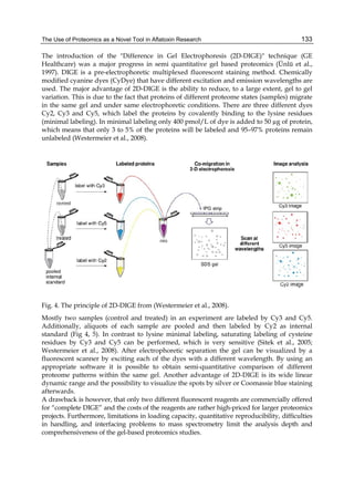 The Use of Proteomics as a Novel Tool in Aflatoxin Research 
133 
The introduction of the "Difference in Gel Electrophoresis (2D-DIGE)" technique (GE 
Healthcare) was a major progress in semi quantitative gel based proteomics (Ünlü et al., 
1997). DIGE is a pre-electrophoretic multiplexed fluorescent staining method. Chemically 
modified cyanine dyes (CyDye) that have different excitation and emission wavelengths are 
used. The major advantage of 2D-DIGE is the ability to reduce, to a large extent, gel to gel 
variation. This is due to the fact that proteins of different proteome states (samples) migrate 
in the same gel and under same electrophoretic conditions. There are three different dyes 
Cy2, Cy3 and Cy5, which label the proteins by covalently binding to the lysine residues 
(minimal labeling). In minimal labeling only 400 pmol/L of dye is added to 50 μg of protein, 
which means that only 3 to 5% of the proteins will be labeled and 95–97% proteins remain 
unlabeled (Westermeier et al., 2008). 
Fig. 4. The principle of 2D-DIGE from (Westermeier et al., 2008). 
Mostly two samples (control and treated) in an experiment are labeled by Cy3 and Cy5. 
Additionally, aliquots of each sample are pooled and then labeled by Cy2 as internal 
standard (Fig 4, 5). In contrast to lysine minimal labeling, saturating labeling of cysteine 
residues by Cy3 and Cy5 can be performed, which is very sensitive (Sitek et al., 2005; 
Westermeier et al., 2008). After electrophoretic separation the gel can be visualized by a 
fluorescent scanner by exciting each of the dyes with a different wavelength. By using an 
appropriate software it is possible to obtain semi-quantitative comparison of different 
proteome patterns within the same gel. Another advantage of 2D-DIGE is its wide linear 
dynamic range and the possibility to visualize the spots by silver or Coomassie blue staining 
afterwards. 
A drawback is however, that only two different fluorescent reagents are commercially offered 
for “complete DIGE” and the costs of the reagents are rather high-priced for larger proteomics 
projects. Furthermore, limitations in loading capacity, quantitative reproducibility, difficulties 
in handling, and interfacing problems to mass spectrometry limit the analysis depth and 
comprehensiveness of the gel-based proteomics studies. 
 