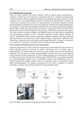138 
2.3.3 Identification of proteins 
There are three different MS based methods used for global protein identification - 
“shotgun”, “bottom-up” and “top-down”–proteomics (Fig. 2). In “shotgun”–proteomics the 
whole cell lysate or tissue is digested and the internal peptides are then separated by high 
resolution one or two dimensional nanoHPLC coupled with ESI-MS/MS. In contrast, in 
“bottom-up”–proteomics the proteins are separated prior to proteolytic digestion and the 
internal peptides of proteins are used to search genomic databases for protein identification. 
In “top-down”–proteomics, the biological material will not undergo a proteolytic digestion 
(Wehr, 2006). Herein, the intact proteins are directly separated by HPLC and then CID is 
performed in order to obtain fragments of the proteins, which deliver sequence information. 
The intact masses of proteins together with MS/MS spectra are then used for identifying 
and characterizing proteins. In the “top-down”–approach special tailored software is 
needed. Additionally, high resolution separation methods combined with high resolution 
mass spectrometers are necessary to obtain reliable results in “top-down”–proteomics. The 
“bottom-up” approach is the most widely used strategy followed by “shotgun”–proteomics. 
The “top-down”–proteomics is employed much less than the other approaches. 
2.3.3.1 Sample pre-treatment prior to mass spectrometry 
Following separation by 1-DE or 2-DE and visualization of the bands/spots the proteins are 
either manually excised or picked by robots. Destaining prior to further steps is 
recommended. The spots/bands are washed and the proteins are reduced followed by 
alkylation. The gel pieces are dried using acetonitrile and the proteins are in-gel digested 
using proteases, mostly trypsin (Fig. 9). The resulting peptides are extracted from the gel 
and then analyzed by using off-line methods such as MALDI-TOF or are further separated 
by a chromatographic method such as nanoHPLC coupled with ESI-MS/MS. In case of 
MALDI analysis the peptide solution needs to be desalted using a miniaturized reverse 
phase chromatography. For shotgun proteomics the cell lysate is digested in solution 
including a reduction and alkylation step prior to the proteolytic digest. 
Aflatoxins – Biochemistry and Molecular Biology 
Fig. 9. Workflow and treatment of the gel spots prior to MS analysis. 
 