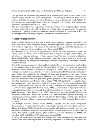 Genetic Resistance to Drought in Maize and Its Relationship in Aflatoxins Production 
157 
PR-4 proteins are chitin-binding proteins PR-4 proteins have been isolated from potato, 
tobacco, barley, tomato, and many other plants. The antifungal activity of these kinds of 
proteins is likely the result of protein binding to nascent fungal cell wall β-chitin. By 
mechanisms not understood these results in disrupted cell polarity, with concomitant 
inhibition of growth (Bormann et al., 1999). 
PR-5 proteins are known as TL proteins several TL proteins cause cell permeability changes 
in fungal cells with a cell wall but have no or little effect on protoplasts. For example, 
zeamatin (a TL protein from corn) caused very rapid cell lysis of N. crassa, even at 4°C; lysis 
occurred primarily at subapical regions (Roberts and Selitrennikoff 1990). 
7. Biochemical pathways 
Biotic or abiotic stress alone was able to induce the expression of genes involved in both 
biotic and abiotic stress responses. Fungal infection represents a unique kind of stress to 
host plants. In response to such stress, plants not only induce specific antifungal genes, but 
also up regulate general stress-related genes (Brown et al., 2004). 
An increasing body of evidence suggests that a subset of plant responses to biotic and 
abiotic stress is shared, such as the generation of reactive oxygen species (ROS), the 
activation of mitogen-activated protein kinases (MAPKs), and hormone modulations 
(Brown et al., 2004). Plant–pathogen recognition causes the rapid activation of appropriate 
defenses. Some of the components in the signal transduction pathways have been identified 
and characterized. 
One of the mayor consequences of drought stress is the loss of protoplasmic water leanding 
to the concentration of ions such as Cl- and NO3-. At high concentrations these ions 
effectively inhibit metabolic functions (Hartung et al., 1998). Also, the concentrations of 
protoplasmic metabolites and the loss of water from the cell lead to the formation of a glassy 
state. Under this condition, the chances of molecular interactions can cause protein 
denaturation and membrane fusion (Hoekestra et al., 2001). To maintain cell turgor and 
metabolic functions under drought stress, plants generate reactive oxygen species (ROS), 
including hydrogen peroxide (Inze and Montagu,1995). ROS production is recognized as a 
common event in plant response to biotic and abiotic stress. The mechanism of how ROS 
leads to downstream responses is still not clear, however, the requirement of specific 
MAPKs has been implicated (Kovtun et al., 2000). Accumulation of hydrogen peroxide, 
eventually, induce the expression of detoxification and stress protection proteins as Heat 
Shock Proteins ( HSPs)( Kovtun et al., 2000). Some reports suggests that HSPs function as 
molecular chaperones which are involved in ATP-dependant protein unfolding or 
assembly/disassembly actions and prevent protein denaturation during stress (Pelham, 
1986). Termotolerance have been associated to expression of HSPs in maize (Preczewski et 
al., 2000) 
The mitogen activated protein kinase (MAPK) cascades are the major components 
downstream of receptors that transduce extracellular stimuli into intracellular responses 
(Zhang and Klessig, 2001). One of the mechanisms by which different stimuli converge onto 
one MAPK is believed to involve several unrelated kinases that function as MAPKKKs to 
initiate the MAPK cascade. Several plant kinases have been identified as MAPKKKs, 
including EDR1 and NPK1/ANPs (Zhang and Klessig, 2001) 
A variety of plant hormones, including salicylic acid (SA), jasmonate (JA), ethylene, and 
abscisic acid, have been implicated in mediating responses to a wide range of biotic and 
 