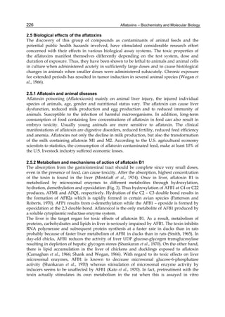 226 
2.5 Biological effects of the aflatoxins 
The discovery of this group of compounds as contaminants of animal feeds and the 
potential public health hazards involved, have stimulated considerable research effort 
concerned with their effects in various biological assay systems. The toxic properties of 
the aflatoxins manifest themselves differently depending on the test system, dose and 
duration of exposure. Thus, they have been shown to be lethal to animals and animal cells 
in culture when administered acutely in sufficiently large doses and to cause histological 
changes in animals when smaller doses were administered subacutely. Chronic exposure 
for extended periods has resulted in tumor induction in several animal species (Wogan et 
al., 1966). 
Aflatoxins – Biochemistry and Molecular Biology 
2.5.1 Aflatoxin and animal diseases 
Aflatoxin poisoning (Aflatoxicosis) mainly on animal liver injury, the injured individual 
species of animals, age, gender and nutritional status vary. The aflatoxin can cause liver 
dysfunction, reduced milk production and egg production and to reduced immunity of 
animals. Susceptible to the infection of harmful microorganisms. In addition, long-term 
consumption of food containing low concentrations of aflatoxin in feed can also result in 
embryo toxicity. Usually young animals are more sensitive to aflatoxin. The clinical 
manifestations of aflatoxin are digestive disorders, reduced fertility, reduced feed efficiency 
and anemia. Aflatoxins not only the decline in milk production, but also the transformation 
of the milk containing aflatoxin M1 and M2. According to the U.S. agricultural economy 
scientists to statistics, the consumption of aflatoxin contaminated feed, make at least 10% of 
the U.S. livestock industry suffered economic losses. 
2.5.2 Metabolism and mechanisms of action of aflatoxin B1 
The absorption from the gastrointestinal tract should be complete since very small doses, 
even in the presence of food, can cause toxicity. After the absorption, highest concentration 
of the toxin is found in the liver (Mintzlaff et al., 1974). Once in liver, aflatoxin B1 is 
metabolized by microsomal enzymes to different metabolites through hydroxylation, 
hydration, demethylation and epoxidation (Fig. 3). Thus hydroxylation of AFB1 at C4 or C22 
produces, AFM1 and AFQ1, respectively. Hydration of the C2 – C3 double bond results in 
the formation of AFB2a which is rapidly formed in certain avian species (Patterson and 
Roberts, 1970). AFP1 results from o-demethylation while the AFB1 – epoxide is formed by 
epoxidation at the 2,3 double bond. Aflatoxicol is the only metabolite of AFB1 produced by 
a soluble cytoplasmic reductase enzyme system. 
The liver is the target organ for toxic effects of aflatoxin B1. As a result, metabolism of 
proteins, carbohydrates and lipids in liver is seriously impaired by AFB1. The toxin inhibits 
RNA polymerase and subsequent protein synthesis at a faster rate in ducks than in rats 
probably because of faster liver metabolism of AFB1 in ducks than in rats (Smith, 1965). In 
day-old chicks, AFB1 reduces the activity of liver UDP glucose-glycogen transglucosylase 
resulting in depletion of hepatic glycogen stores (Shankaran et al., 1970). On the other hand, 
there is lipid accumulation in the liver of chickens and ducklings exposed to aflatoxin 
(Carnaghan et al., 1966; Shank and Wogan, 1966). With regard to its toxic effects on liver 
microsomal enzymes, AFB1 is known to decrease microsomal glucose-6-phosphatase 
activity (Shankaran et al., 1970) whereas stimulation of microsomal enzyme activity by 
inducers seems to be unaffected by AFB1 (Kato et al., 1970). In fact, pretreatment with the 
toxin actually stimulates its own metabolism in the rat when this is assayed in vitro 
 