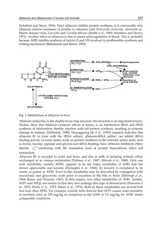 Aflatoxins and Aflatoxicosis in Human and Animals 
227 
(Schabort and Steyn, 1969). Since aflatoxin inhibits protein synthesis, it is conceivable why 
aflatoxin reduces resistance of poultry to infection with Pasteurella multocida, salmonella sp., 
Marek disease virus, Coccidia and Candida albicans (Smith et al., 1969; Hamilton and Harris, 
1971). Another effect of aflatoxin is that it causes anticoagulation of blood. This is probably 
because AFB1 inhibits synthesis of factors II and VII involved in prothrombin synthesis and 
clotting mechanism (Bababunmi and Bassir, 1969). 
Fig. 3. Metabolism of aflatoxin in liver 
Aflatoxin molecules in the double-furan ring structure, the structure is an important toxicity. 
Studies show that aflatoxin cytotoxic effects of toxins, is an interference RNA and DNA 
synthesis of information, thereby interfere with cell protein synthesis, resulting in systemic 
damage to animals (Nibbelink, 1988). Huangguang Qi et al., (1993) research indicates that 
aflatoxin B1 to form with the tRNA adduct, aflatoxin-tRNA adduct can inhibit tRNA 
binding activity of some amino acids on protein synthesis in the essential amino acids such 
as lysine, leucine, arginine and glycine and tRNA binding, have different inhibitory effect, 
thereby vCHCl3 interfering with the translation level of protein biosynthesis, affect cell 
max 
metabolism. 
Aflatoxin B1 is excreted in urine and feces, and also in milk of lactating animals either 
unchanged or as various metabolites (Nabney et al., 1967; Allcroft et al., 1968). Only one 
milk metabolite, namely AFM1, appears to be the major metabolite of AFB1 that has 
shown appreciable oral toxicity (Holzapfel et al., 1966). Its toxicity is considered to be 
nearly as potent as AFB1. Even so this metabolite may be detoxified by conjugation with 
taurocholic and glucuronic acids prior to excretion in the bile or brine (DeIongh et al., 
1964; Bassir and Osiyemi, 1967). In this respect, two other metabolites of AFB1, namely, 
AFP1 and AFQ1 are similar in that they also undergo this type of detoxication (Dalezios et 
al., 1971; Buchi et al., 1973; Masri et al., 1974). Both of these metabolites are several-fold 
less toxic than AFB1. For example, toxicity tests showed that AFP1 causes some mortality 
in newborn mice at 150 mg/kg as compared to the LD50 of 9.5 mg/kg for AFB1 under 
comparable conditions. 
 