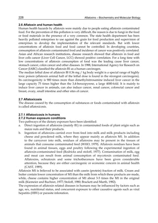 228 
2.6 Aflatoxin and human health 
Human health hazards by aflatoxin were mainly due to people eating aflatoxin contaminated 
food. For the prevention of this pollution is very difficult, the reason is due to fungi in the food 
or food materials in the presence of a very common. The state health department has been 
heavily polluted enterprises to use against the grain for food production and supervision of 
enterprises to develop the implementation of the relevant standards. But with lower 
concentrations of aflatoxin food and food cannot be controlled. In developing countries, 
consumption of aflatoxin contaminated food and incidence of cancer was positively correlated. 
Asian and African research institutions, disease research showed that aflatoxin in food and 
liver cells cancer (Liver Cell Cancer, LCC) showed positive correlation. For a long time with 
low concentrations of aflatoxin consumption of food was the leading cause liver cancer, 
stomach cancer, colon cancer and other diseases. In 1988, International Agency for Research on 
Cancer (IARC) classified the aflatoxin B1 as a human carcinogen. 
The median lethal dose of aflatoxin Bl 0.36 mg / kg body weight is a special range of highly 
toxic poison (aflatoxin animal half of the lethal dose is found in the strongest carcinogens). 
Its carcinogenicity is 900 times more than dimethylnitrosamine induced liver cancer in the 
large capacity 75 times higher than the 3,4-benzopyrene, a large 4000-fold. It is mainly to 
induce liver cancer in animals, can also induce cancer, renal cancer, colorectal cancer and 
breast, ovary, small intestine and other sites of cancer. 
Aflatoxins – Biochemistry and Molecular Biology 
2.7 Aflatoxicosis 
The disease caused by the consumption of substances or foods contaminated with aflatoxin 
is called aflatoxicosis. 
2.7.1 Aflatoxicosis in humans 
2.7.2 Human exposure conditions 
Two pathways of the dietary exposure have been identified: 
a. Direct ingestion of aflatoxins (mainly B1) in contaminated foods of plant origin such as 
maize nuts and their products. 
b. Ingestion of aflatoxins carried over from feed into milk and milk products including 
cheese and powdered milk, where they appear mainly as aflatoxin M1. In addition 
to the carryover into milk, residues of aflatoxins may be present in the tissues of 
animals that consume contaminated feed (WHO, 1979). Aflatoxin residues have been 
found in animal tissues, eggs and poultry following the experimental ingestion of 
aflatoxin-contaminated feed (Rodricks and stoloff, 1977). Contamination of milk, egg 
and meat can result from animal consumption of mycotoxin contaminated feed. 
Aflatoxins, ochratoxin and some trichothecences have been given considerable 
attention, because they are either carcinogenic or economic concern in animal health 
(CAST, 1989). 
Aflatoxin M1 is believed to be associated with casein (protein) fraction of milk. Cream and 
butter contain lower concentration of M1 than the milk from which these products are made, 
while, cheese contains higher concentration of M1 about 3-5 times the M1 in the original 
milk (Kiemeier and Buchner, 1977; Stoloff, 1980; Brackett and Marth, 1982). 
The expression of aflatoxin related diseases in humans may be influenced by factors such as 
age, sex, nutritional status, and concurrent exposure to other causative agents such as viral 
hepatitis (HBV) or parasite infestation. 
 