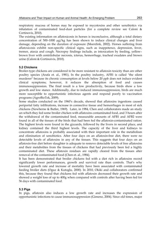 Aflatoxins and Their Impact on Human and Animal Health: An Emerging Problem 
263 
respiratory mucosa of horses may be exposed to mycotoxins and other xenobiotics via 
inhalation of contaminated feed-dust particles (for a complete review see Caloni & 
Cortinovis, 2010). 
The existing information on aflatoxicosis in horses is inconclusive, although a total dietary 
concentration of 500–1000 μg/kg has been shown to induce clinical changes and liver 
damage, depending on the duration of exposure (Meerdink, 2002). Horses suffering from 
aflatoxicosis exhibit non-specific clinical signs, such as inappetence, depression, fever, 
tremor, ataxia and cough. Necropsy findings include, as intoxication by feeding, yellow– 
brown liver with centrilobular necrosis, icterus, hemorrhage, tracheal exudates and brown 
urine (Caloni & Cortinoivis, 2010). 
5.2 Chickens 
Broiler-type chickens are considered to be more resistant to aflatoxin toxicity than are other 
poultry species (Arafa et. al., 1981). In the poultry industry, AFB1 is called "the silent 
murderer" because its chronic consumption at levels below 20 ppb does not induce evident 
clinical symptoms; however, it reduces the absorption of food and causes 
immunosuppression. The final result is a low productivity, because birds show a low 
growth and low stance. Additionally, due to induced immunosuppression, birds are much 
more susceptible to opportunistic infectious agents and respond poorly to vaccination 
programs (AgroBioTek, 2009). 
Some studies conducted on the 1960’s decade, showed that aflatoxins ingestions caused 
periportal fatty infiltrations, increase in connective tissue and hemorrhages in most of sick 
chickens (Newberne & Butler, 1969). Later, in 1984, Chen and collaborators made an study 
un which they fed some broiler chicken with aflatoxins contaminated food, and 3 hours after 
the withdrawal of the contaminated feed, measurable amounts of AFB1 and AFB2 were 
found in all of the tissues of the birds that had been fed the aflatoxin-contaminated ration. 
The highest levels were found in the gizzards, followed by the livers in second place, and 
kidney contained the third highest levels. The capacity of the liver and kidneys to 
concentrate aflatoxins is probably associated with their important role in the metabolism 
and elimination of xenobiotics. After four days on an aflatoxin-free diet, there were no 
detectable levels of aflatoxins in any of the tissues. This suggests that four days on an 
aflatoxin-free diet before slaughter is adequate to remove detectable levels of free aflatoxins 
and their metabolites from the tissues of chickens that had previously been fed a highly 
contaminated diet. These aflatoxin residues are rapidly cleared from the tissues alter 
removal of the contaminated food (Chen et. al., 1984). 
It has been demonstrated that broiler chickens fed with a diet rich in aflatoxins record 
significantly lower performances, growth and survival rate than controls. That’s why 
lowered growth rate and increase of mortality have been associated with contaminated 
feeding broiler diets (Oguz & Kutoglu, 2000). In 2010, Okiki and collaborators confirmed 
this, because they found that chickens fed with aflatoxin decreased their growth rate and 
showed a weight loss of up to 400g when compared with controls after having been fed for 
56 days with contaminated food. 
5.3 Pigs 
In pigs, aflatoxin also induces a low growth rate and increases the expression of 
opportunistic infections to cause immunosuppression (Gimeno, 2004). Since old times, major 
 
