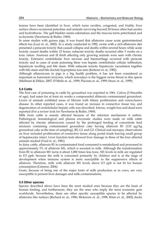 264 
lesions have been identified in liver, which turns swollen, congested, and friable; liver 
surface shows occasional petechiae and animals surviving beyond 24 hours often had ascites 
and hydrothorax. The gall bladder seems edematous and the mucosa turns petechiated and 
ecchymotic (Newberne & Butler, 1969). 
In some studies with guinea pigs, it was found that aflatoxins cause acute gastrointestinal 
effects too (Luzi et. al., 2002). In a study conducted in 1982, swine with a rich-aflatoxins diet 
presented a peracute toxicity that caused collapse and deaths within several hours while acute 
toxicity caused deaths within 12 hours; subacute toxicity deaths occurred after 3 weeks on a 
toxic ration. Anorexia and ill thrift affecting only growing animals were seen with chronic 
toxicity. Extensive centrilobular liver necrosis and haemorrhage occurred with peracute 
toxicity and in cases of acute poisoning there was hepatic centrilobular cellular infiltration, 
hepatocyte swelling and bile stasis. With subacute toxicity hepatocyte vacuolation together 
with bile stasis and bile ductule hyperplasia was seen (Ketterer et. al., 1982). 
Although aflatoxicosis in pigs is a big health problem, it has not been considered as 
important as fumonisin toxicosis, which nowadays is the biggest swine threat in this specie 
(Mallman & Dilkin, 2007; D’Mello et. al., 1999; Placinta et. al., 1999; Straw et. al., 1999). 
Aflatoxins – Biochemistry and Molecular Biology 
5.4 Cattle 
The first case of poisoning in cattle by groundnut was reported in 1961. Calves (3-9months 
of age), had eaten for at least six weeks a compounded aflatoxin contaminated groundnut. 
Livers of animals exhibited areas of fibrosis with biliary proliferation and venocclusive 
disease. In other reported cases, it was found an increase in connective tissue too, and 
degeneration of centrilobular hepatic cells was described. Icterus, weight loss and dead were 
reported (For a review look for Newberne & Butler, 1969). 
Milk from cattle is mainly affected because of the infection mechanism it suffers. 
Pathological, hematological and plasma enzymatic studies were made on milk cattle 
affected by chronic aflatoxicosis caused by the prolonged feeding of concentrate feed 
mixtures containing contaminated groundnut cake having aflatoxin B1 (110 μg/kg 
groundnut cake at the time of sampling), B2, G1 and G2. Clinical and necropsy observations 
on liver included proliferation of connective tissue along portal triads leaving small group 
of hepatocytes intact. Liver function tests showed liver damage in three of the four affected 
animals studied (Vaid et. al., 1981) 
In dairy cattle, aflatoxin B1 in contaminated food consumed is metabolized and processed in 
approximately 5% of aflatoxin M1, which is secreted in milk. Although the transformation 
from B1 to aflatoxin M1 turns it about 1,000 times less toxic, M1 levels in milk are regulated 
to 0.5 ppb, because the milk is consumed primarily by children and is at the stage of 
development when immune system is more susceptible to the suppressive effects of 
aflatoxin. Therefore, milk with aflatoxin M1 levels above 0.5 ppb is not fit for human 
consumption (Gimeno, 2004). 
Goats, because of being one of the major fonts of milk production as in cows, are very 
susceptible to present liver damages and milk contaminations. 
5.5 Other species 
Species described above have been the most studied ones because they are the basis of 
human feeding, and furthermore, they are the ones who imply the most economic gain 
worldwide. Nevertheless, there are other specific susceptible species to be affected by 
aflatoxins like turkeys (Richard et. al., 1986; Mckenzie et. al., 1998, Klein et. al., 2002) ducks 
 