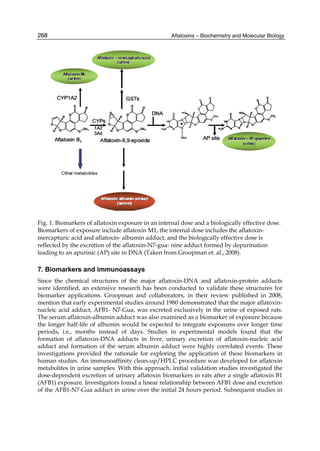 Aflatoxins – Biochemistry and Molecular Biology 
268 
Fig. 1. Biomarkers of aflatoxin exposure in an internal dose and a biologically effective dose. 
Biomarkers of exposure include aflatoxin M1, the internal dose includes the aflatoxin-mercapturic 
acid and aflatoxin- albumin adduct, and the biologically effective dose is 
reflected by the excretion of the aflatoxin-N7-gua- nine adduct formed by depurination 
leading to an apurinic (AP) site in DNA (Taken from Groopman et. al., 2008). 
7. Biomarkers and immunoassays 
Since the chemical structures of the major aflatoxin-DNA and aflatoxin-protein adducts 
were identified, an extensive research has been conducted to validate these structures for 
biomarker applications. Groopman and collaborators, in their review published in 2008, 
mention that early experimental studies around 1980 demonstrated that the major aflatoxin-nucleic 
acid adduct, AFB1- N7-Gua, was excreted exclusively in the urine of exposed rats. 
The serum aflatoxin-albumin adduct was also examined as a biomarker of exposure because 
the longer half-life of albumin would be expected to integrate exposures over longer time 
periods, i.e., months instead of days. Studies in experimental models found that the 
formation of aflatoxin-DNA adducts in liver, urinary excretion of aflatoxin-nucleic acid 
adduct and formation of the serum albumin adduct were highly correlated events. These 
investigations provided the rationale for exploring the application of these biomarkers in 
human studies. An immunoaffinity clean-up/HPLC procedure was developed for aflatoxin 
metabolites in urine samples. With this approach, initial validation studies investigated the 
dose-dependent excretion of urinary aflatoxin biomarkers in rats after a single aflatoxin B1 
(AFB1) exposure. Investigators found a linear relationship between AFB1 dose and excretion 
of the AFB1-N7-Gua adduct in urine over the initial 24 hours period. Subsequent studies in 
 
