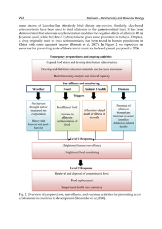 272 
some strains of Lactobacillus effectively bind dietary mycotoxins. Similarly, clay-based 
enterosorbents have been used to bind aflatoxins in the gastrointestinal tract. It has been 
demonstrated that selenium supplementation modifies the negative effects of aflatoxin B1 in 
Japanese quail, while butylated hydroxytoluene gives some protection in turkeys. Oltipraz, 
a drug originally used to treat schistosomiasis, has been tested in human populations in 
China with some apparent success (Bennett et al, 2007). In Figure 2 we reproduce an 
overview for preventing acute aflatoxicosis in countries in development purposed in 2006. 
Aflatoxins – Biochemistry and Molecular Biology 
Emergency preparedness and ongoing activities 
Expand food stores and develop distribution infrastructure 
Develop and distribute education materials and increase awareness 
Build laboratory analytic and clinical capacity 
Surveillance and monitoring 
Weather Food Animal Health Human 
Triggers 
Insufficient food 
Increase in 
aflatoxin 
contamination of 
Aflatoxin-related 
death or illness in 
animals 
Level 1 Response 
Heightened human surveillance 
Heightened food monitoring 
Level 2 Response 
Pre-harvest 
drought and/or 
increased net 
evaporation 
Heavy rain 
harvest and post-harvest 
food 
Presence of 
aflatoxin 
biomarkers 
Increase in acute 
jaundice 
Aflatoxin-related 
deaths 
Retrieval and disposal of contaminated food 
Food replacement 
Supplement health care resources 
Fig. 2. Overview of preparedness, surveillance, and response activities for preventing acute 
aflatoxicosis in countries in development (Strosnider et. al.,2006). 
 