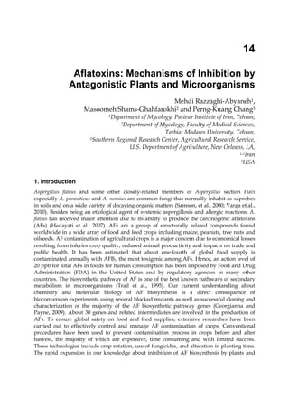 14 
Aflatoxins: Mechanisms of Inhibition by 
Antagonistic Plants and Microorganisms 
Mehdi Razzaghi-Abyaneh1, 
Masoomeh Shams-Ghahfarokhi2 and Perng-Kuang Chang3 
1Department of Mycology, Pasteur Institute of Iran, Tehran, 
2Department of Mycology, Faculty of Medical Sciences, 
Tarbiat Modares University, Tehran, 
3Southern Regional Research Center, Agricultural Research Service, 
U.S. Department of Agriculture, New Orleans, LA, 
1,2Iran 
3USA 
1. Introduction 
Aspergillus flavus and some other closely-related members of Aspergillus section Flavi 
especially A. parasiticus and A. nomius are common fungi that normally inhabit as saprobes 
in soils and on a wide variety of decaying organic matters (Samson, et al., 2000; Varga et al., 
2010). Besides being an etiological agent of systemic aspergillosis and allergic reactions, A. 
flavus has received major attention due to its ability to produce the carcinogenic aflatoxins 
(AFs) (Hedayati et al., 2007). AFs are a group of structurally related compounds found 
worldwide in a wide array of food and feed crops including maize, peanuts, tree nuts and 
oilseeds. AF contamination of agricultural crops is a major concern due to economical losses 
resulting from inferior crop quality, reduced animal productivity and impacts on trade and 
public health. It has been estimated that about one-fourth of global food supply is 
contaminated annually with AFB1, the most toxigenic among AFs. Hence, an action level of 
20 ppb for total AFs in foods for human consumption has been imposed by Food and Drug 
Administration (FDA) in the United States and by regulatory agencies in many other 
countries. The biosynthetic pathway of AF is one of the best known pathways of secondary 
metabolism in microorganisms (Trail et al., 1995). Our current understanding about 
chemistry and molecular biology of AF biosynthesis is a direct consequence of 
bioconversion experiments using several blocked mutants as well as successful cloning and 
characterization of the majority of the AF biosynthetic pathway genes (Georgianna and 
Payne, 2009). About 30 genes and related intermediates are involved in the production of 
AFs. To ensure global safety on food and feed supplies, extensive researches have been 
carried out to effectively control and manage AF contamination of crops. Conventional 
procedures have been used to prevent contamination process in crops before and after 
harvest, the majority of which are expensive, time consuming and with limited success. 
These technologies include crop rotation, use of fungicides, and alteration in planting time. 
The rapid expansion in our knowledge about inhibition of AF biosynthesis by plants and 
 