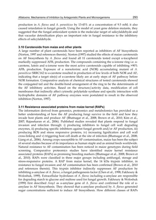 Aflatoxins: Mechanisms of Inhibition by Antagonistic Plants and Microorganisms 
293 
production in A. flavus and A. parasiticus by 13-45% at a concentration of 9.5 mM; it also 
caused retardation in fungal growth. Using the model of yeast gene deletion mutants, they 
suggested that the fungal antioxidant system is the molecular target of salicylaldehyde and 
that vacuolar detoxification plays an important role in fungal resistance to the inhibitory 
effects of salicylaldehyde. 
3.10 Carotenoids from maize and other plants 
A large number of plant carotenoids have been reported as inhibitors of AF biosynthesis 
(Norton, 1997 and references therein). Norton (1997) studied the effects of maize carotenoids 
on AF biosynthesis by A. flavus and found all 11 carotenoids tested except -tocopherol 
markedly suppressed AFB1 production. The compounds containing the -ionone ring i.e. - 
carotene, lutein and -ionone were the most active carotenoids capable of inhibiting >90% 
AFB1 production. Exposure of a norsolorinic acid (NOR) accumulating mutant of A. 
parasiticus SRRC162 to -carotene resulted in production of low levels of both NOR and AF, 
indicating that a target site(s) of -carotene likely are at early steps of AF pathway before 
NOR formation. Comparative analysis of chemical structures of tested carotenoids showed 
the conjugated tail and the double-bond arrangement of the ring to be the determinants of 
the AF inhibitory activities. Based on the structure/activity data, modification of cell 
membranes that indirectly affect cytosolic polyketide synthase and specific interaction with 
hydrophobic domains of AF pathway enzymes were postulated to result in the observed 
inhibition (Norton, 1997). 
3.11 Resistance associated proteins from maize kernel (RAPs) 
The information derived from genomics, proteomics and metabolomics has provided us a 
better understanding of how the AF producing fungi survive in the field and how they 
invade host plants and produce AF (Bhatnagar et al., 2008; Brown et al., 2010; Kim et al., 
2007; Rajasekaran et al., 2006). Published studies revealed that plants respond to fungal 
invasion and infection through: i) producing inhibitors to fungal cell wall degrading 
enzymes, ii) producing specific inhibitors against fungal growth and/or AF production, iii) 
producing ROS and stress responsive proteins, iv) increasing lignification and cell wall 
cross-linking and v) triggering host cell death at the site of infection (Bhatnagar et al., 2008; 
Liang et al., 2006). Among crops susceptible to AF contamination, maize has been the subject 
of several studies because of its importance as human staple and as animal feeds worldwide. 
Natural resistance to AF contamination has been noticed in maize genotypes during field 
screening. Comparative proteomics studies have identified maize kernel resistance 
associated proteins (RAPs) as promising breeding markers (Bhatnagar et al., 2008; Brown et 
al., 2010). RAPs were classified in three major groups including antifungal, storage and 
stress-responsive proteins. A RAP from maize kernel, the 14 kDa trypsin inhibitor, in 
resistance to fungal invasion and AF contamination has been confirmed (Brown et al., 2010 
and references therein). This trypsin inhibitor indirectly suppresses AF production by 
inhibiting -amylase of A. flavus, a fungal pathogenesis factor (Chen et al., 1998; Fakhoury & 
Woloshuk, 1999). Extracellular hydrolases of A. flavus including -amylase are responsible 
for degrading starch to glucose and maltose used for fungal growth. Fakhoury & Woloshuk 
(1999) first described Amy1 as -amylase gene of A. flavus and confirmed the role of - 
amylase in AF biosynthesis. They showed that -amylase produced by A. flavus generated 
sugar concentrations sufficient to induce AF biosynthesis. How different classes of RAPs 
 