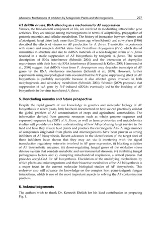 Aflatoxins: Mechanisms of Inhibition by Antagonistic Plants and Microorganisms 
297 
4.3 dsRNA viruses; RNA silencing as a mechanism for AF suppression 
Viruses, the fundamental component of life, are involved in modulating intracellular gene 
activities. They are unique among microorganisms in terms of adaptability, propagation of 
genomic materials and cellular metabolism. The history of interaction between viruses and 
aflatoxigenic fungi dates back more than 20 years ago when Schmidt and co-workers (1986) 
described the effects of viruses on AF production by A. flavus. Transfection experiments 
with naked and complete dsRNA virus from Penicillium chrysogenum (PcV) which shared 
similarities in structure and size to dsRNA materials of a non-toxigenic strain of A. flavus 
resulted in a stable suppression of AF biosynthesis by toxigenic A. flavus. The recent 
descriptions of RNA interference (Schmidt 2004) and the interaction of Aspergillus 
mycoviruses with their host via RNA interference (Hammond & Keller, 2008; Hammond et 
al., 2008) suggest that dsRNA virus from P. chrysogenum may degrades transcripts of AF 
genes by the RNA interference mechanism (Schmidt et al., 2009). However, further 
experiments using morphological traits revealed that the PcV-gene suppressing effect on AF 
biosynthesis is probably nonspecific because it also affected genes involved in both 
morphogenesis and secondary metabolism (Schmidt, 2004). Schmidt (2009) proposed that 
suppression of veA gene by PcV-induced siRNAs eventually led to the blocking of AF 
biosynthesis in the virus transfected A. flavus. 
5. Concluding remarks and future prospective 
Despite the rapid growth of our knowledge in genetics and molecular biology of AF 
biosynthesis in recent years, little has been documented on how we can practically combat 
the global problem of AF contamination of crops and agricultural commodities. The 
information derived from genomic resources such as whole genome sequence and 
expressed sequence tag (EST) of A. flavus, as well as from proteomics and metabolomics 
studies will provide us a better understanding of how AF-producing fungi survive in the 
field and how they invade host plants and produce the carcinogenic AFs. A large number 
of compounds originated from plants and microorganisms have been proven as strong 
inhibitors of AF biosynthesis. Recent advances in the identification of the target sites of 
these inhibitors have shown that they may act via i) interfering with the signal 
transduction regulatory networks involved in AF gene expression, ii) blocking activities 
of AF biosynthetic enzymes, iii) down-regulating fungal genes of the oxidative stress 
defense system that combats metabolic and environmental stressors, iv) inhibiting fungal 
pathogenesis factors and v) disrupting mitochondrial respiration, a critical process that 
provides acetyl-CoA for AF biosynthesis. Elucidation of the underlying mechanisms by 
which plants and microorganisms and their bioactive metabolites affect AF biosynthesis is 
a major focus in the current molecular biological studies of AF biosynthesis. This 
endeavor also will advance the knowledge on the complex host plant-toxigenic fungus 
interactions, which is one of the most important aspects in solving the AF contamination 
problem. 
6. Acknowledgements 
The authors wish to thank Dr. Kenneth Ehrlich for his kind contribution in preparing 
Fig. 1. 
 