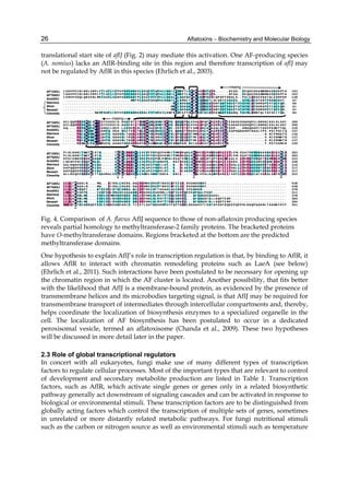 Aflatoxins – Biochemistry and Molecular Biology 
26 
translational start site of aflJ (Fig. 2) may mediate this activation. One AF-producing species 
(A. nomius) lacks an AflR-binding site in this region and therefore transcription of aflJ may 
not be regulated by AflR in this species (Ehrlich et al., 2003). 
192 
192 
138 
67 
50 
51 
51 
84 
AAP..... 
FF 
DT 
RRRS 
QQQQ 
V 
PPP 
SS 
RREEET 
DDDCCCCI 
SSE 
AAAAF 
GGL 
DFFF 
D 
VV 
GRYFFF 
AATFFFF 
A 
MMAT 
PPPT 
NNRR 
DDDL 
WWSS 
RRR 
Q 
AAET 
HHHT 
N 
DDD 
M 
A 
SSS 
DDRFFFF 
EE 
AAAAAA 
AAI 
LIII 
L 
QQL 
NNNNN 
V 
YYYY 
S 
AAAAA 
EE 
P 
SS 
.... 
TTTT 
.... 
DGG. 
Q 
AASSTTT 
N 
GGL 
EEEE 
FF 
GASSS 
G 
RRRAAAAA 
.. 
DS 
VVVV 
.. 
YETTTT 
.. 
PT 
DDDD 
.. 
DR 
GGGG 
W 
GFFF 
P 
.. 
.. 
QL 
RRRK 
RRC 
HGGGE 
TTTL 
TTTT 
QQST 
AAAA 
TT 
RSSSSE 
GGP 
AAAAS 
MMMMMMMF 
QQQQK 
K 
AA 
SSLLLLL 
S 
AAAAAAAA 
V 
a 
SS 
ASTTT 
PPPPPPPP 
M 
p 
AAVT 
AAA 
LL 
AI 
AAAY 
RSSSF 
V 
NDDDE 
TT 
Q 
EE 
SS 
AS 
AAAT 
MMLLLLL 
M 
FFFFFFFF 
f 
LLLL 
MMMR 
II 
AT. 
MMT 
W 
AAAA... 
DDDD... 
G 
LLL 
R... 
L 
Y 
LLLL... 
AAE 
S... 
A 
PPPP... 
P 
N 
QQE 
Q... 
TTT 
G... 
T 
VVV 
G... 
V 
FFFF... 
F 
QQS 
A... 
L 
KKA 
G... 
R 
SSSS... 
S 
V 
LLLL... 
A 
VVPP... 
N 
SSTT... 
HHHH... 
H 
AAA 
M... 
A 
VVV.... 
V 
HHH.... 
H 
GGG.... 
G 
PPS.... 
P 
V 
SS 
P.... 
PP 
R.... 
P 
EEE.... 
E 
CCS.... 
C 
LLL.... 
L 
FFF.... 
F 
N 
GGG.... 
R 
II 
A.... 
TTT.... 
T 
M 
FF 
V.... 
LL 
M.... 
A 
M 
PPL.... 
RRR..... 
VVV..... 
LL 
V..... 
RRR..... 
RR 
Q..... 
LLL..... 
RR 
Q..... 
CC 
D..... 
EE 
V..... 
PPP..... 
VVV..... 
GG 
N..... 
AAS..... 
III..... 
290 
290 
229 
157 
126 
127 
127 
159 
QH 
NNR 
L 
II 
SS 
QI 
TTT 
C 
N 
AAYI 
SSS 
GG 
WWG 
T 
LL 
KKVP 
NNNV 
LL 
WI 
PPPT 
AASSIII 
E 
SS 
PP 
RRRP 
II 
E..... 
GGS 
AVVT 
V 
HHGP.... 
NNTT.... 
DDI 
L.... 
LL 
PS.... 
CC 
GA.... 
PPS 
R.... 
QQQT.... 
HHG 
D.... 
GG 
NH.... 
GGGA.... 
SS. 
D.... 
EE. 
Q.... 
AA. 
D.... 
KKPP.... 
AAS 
G.... 
EE 
SS.... 
D 
TTTL 
EEE 
QQQQQQQQ 
q 
VVI 
VVVVI 
LL 
VVIIII 
FFL 
FFFFF 
RR 
QR 
HHHS 
LL 
ALLLLL 
SS 
AA 
MMMA 
PPPPPPPP 
p 
FF 
GY 
HHHY 
QQLLLLL 
S 
QQQE 
A 
K 
PP 
AAAS 
DAAA 
LLI 
LLLLL 
AA 
MV 
MII 
A 
VV 
GR 
MMMI 
VVI 
ATTT 
C 
RVVVV 
T 
LL 
SSST 
SSS. 
N 
PPTT 
QQQ 
G 
SSSSSSS 
QQP 
QQQP 
R 
AAP 
APPP 
A 
GG 
HGGGGG 
D 
.... 
LII 
VVI 
VVVI 
S 
HHDEEEE 
H 
VVVVVVVV 
v 
VVII 
VVVV 
TTT 
CCCCL 
AAAS 
AVV 
MMP 
A 
NNNK 
R 
GGGG 
NDDG 
M 
LLI 
LLLL 
NNA 
NNNA 
H 
QQGAFFF 
E 
WWWWWWWW 
w 
NNDDDDDD 
MMVL 
VVVY 
D 
RRL 
RRRR 
AAA 
V 
TT 
RT 
S 
LLLLLLL 
TT 
VVVVVV 
DDEE 
QQQH 
EE 
DT 
QRRK 
VVVI 
TTT 
V 
N 
GGASLLL 
AAL 
DDDDT 
.... 
RSS 
A 
DDP 
DAAA 
R 
DDDS 
E 
S 
II 
SS 
DDGGGA 
SSL..... 
Q 
SSI 
GGGG 
VV 
GTTTT 
V 
NHHHG 
QQQK 
M 
R 
YY 
A 
R 
SS 
LLLLLLL 
YYYYYYYY 
y 
AAAAAAAA 
a 
GGAI 
SSSS 
WWWWF 
F 
LL 
QQQQRRRL 
RRRRRRRR 
r 
KK 
QH 
QQQG 
W 
VVVLLLL 
KKKKKKKE 
R 
PPPPPPP 
RR...... 
QQ...... 
QQ...... 
LL...... 
CC 
Q..... 
AAA..... 
383 
383 
322 
248 
216 
217 
217 
252 
SSST 
SSST 
DDDDDDDD 
SS 
RR 
HHHR 
LLL 
VLLL 
Y 
SS 
RRRRRR 
A 
VVVC 
VVV 
AA 
MMSSSL 
G 
AAS 
AT 
AA 
RREEEEEE 
D 
AAT 
VVVV 
AAEE 
RTT 
V 
AA 
QRAAAI 
DD 
NHDDDG 
MMVVVVVI 
SST 
AAAS 
S 
RR 
GGGGGG 
TT 
PPPPPP 
AAS 
KKKE 
P 
SS 
PPPPPP 
SSLLLLLL 
.... 
LLLL 
MMVVLLL 
T 
D 
GGG 
R 
PPL 
LL 
AAA 
GGV 
TT 
ATTTTI 
LLI 
ALLLL 
II 
MIIIII 
R 
LLLLLLL 
RRRV 
MTT 
A 
AAS 
AAAAS 
RRP 
N 
DDT 
S 
C 
SS 
PPSSS 
NNQ 
NNNNQ 
NNT 
K 
AAA 
S 
RRRS 
AAAL 
A 
LLLLLLL 
VVVVVVVP 
EE 
QDSSS 
V 
VVL 
MFFFL 
N 
AAAAAAAA 
KK 
QQRRR. 
LLLLL 
VV. 
AAEEEEE. 
QQ 
MKT 
AA. 
AAVVLLL. 
VVT 
VVVVL 
RR 
QI... 
I 
MMSS... 
R 
TT 
RRSSSS 
II 
L..... 
EE 
K..... 
MMT 
STTT 
A 
AA 
WPSSSE 
D 
PPPSLLL 
SSL 
NI 
VV 
D 
QQ 
MAAAAT 
HHHH 
N 
V 
PPP 
SSSS 
PPP 
H 
PPPLLLL 
FF 
SS 
PPPL 
PPPP 
GGGV 
M 
III 
LLLL 
NNNR 
R 
H 
SS 
II 
VLLLLL 
LLIIIII 
L 
YYYYYYYY 
V 
y 
VVVVIII 
D 
AAAAAAA 
AAP 
AAAAA 
N 
LLLL 
RRRT 
VVVVVVVV 
RRRT 
QQQQQQQQ 
APPPP 
E 
P 
TT 
....... 
L 
....... 
A 
....... 
R 
....... 
H 
....... 
A 
....... 
AAAL 
GGGA 
TT 
GGGGGT 
SS 
ALLLL 
T 
NEEEI 
G 
LL 
RRRRRRRR 
K 
r 
TT 
STI 
VV 
QQQQR 
H 
GG 
WWVVVVVV 
N 
TT 
SSSSS 
II 
VI 
RRRE 
RRR 
HVVVP 
AA 
NP 
DDD 
RRS 
Q 
QQQS 
Y 
LLI 
NH 
QQR 
HHSEL 
PPL 
DAAAL 
G 
P 
LL 
PPPL 
AAA 
q 
PPT 
P 
v 
DDG 
DDDD 
a 
HHHHHHH 
d 
LL 
MFLLL 
M 
438 
438 
378 
311 
278 
284 
284 
351 
F 
....... 
Y 
....... 
K 
....... 
Y 
....... 
S 
....... 
M 
....... 
G 
....... 
A 
....... 
T 
....... 
L 
....... 
N 
....... 
K 
....... 
G 
....... 
G 
....... 
P 
....... 
Q 
....... 
G 
....... 
R 
....... 
L 
....... 
D 
....... 
P 
....... 
P 
....... 
Q 
....... 
P 
....... 
S 
....... 
K 
..... 
PP 
..... 
NNQ 
R 
..... 
EE 
..... 
TTF 
A 
..... 
PP 
QQK 
L 
DDP 
.... 
S 
.... 
.... 
KLL 
A 
ALL 
F 
T 
A 
... 
... 
SSSS 
... 
SSII 
YY. 
S 
DDDI 
P 
RR. 
GGGT 
L 
NNHA 
HHHV 
DDK 
GGGGV 
DDRPFFF 
G 
NNAAAAA 
G 
DDSS... 
A 
R 
VVP 
V... 
RREE... 
L 
... 
QQQQR 
H 
YYYYYYY 
QQRK 
RKK 
R 
II 
VL 
VVVT 
GGGP 
G 
V 
EEE 
FFL 
FLLL 
AA 
GAAAAF 
III 
VVVVY 
VV 
AL 
TTT 
S 
AAAL 
TTTT 
M 
NNS 
NTTT 
A 
PPT 
RPPP 
A 
G 
SST 
ALLL 
RR 
HR 
HHHH 
VVI 
LLLL 
T 
RRRA 
K 
NNNA 
EEE 
D 
RRR 
MMT 
AVVVL 
VVVVVVVT 
VVVV 
AVVE 
LLLLLLLI 
GGC 
RRRRI 
DDGGGGGT 
... 
A.... 
SS 
GGVVVV 
RRS 
GSSSL 
SS 
DA 
DDDK 
G 
RRRE 
KKK 
LLI 
VVVVE 
LL 
GA 
GGGG 
DDT 
NHHHD 
RRVVVVVS 
MLL 
L 
III 
A 
EEE 
DEEE 
K 
N 
DDDD 
V 
I 
E 
MMKVEEEE 
F 
....... 
E 
....... 
Q 
....... 
R 
....... 
NNT 
EEEE 
D 
LL 
PP 
MMMR 
GGR 
HRRRK 
GGEE 
DDDT 
NNNNNNNN 
TT 
ST 
AAAF 
V 
LLLLLLL 
QQQQQQQE 
LLL 
MLLL 
M 
M 
LLLLLLL 
n 
SS 
QELLL 
E 
GGT 
A 
.. 
DEEEI 
.. 
FLLLL 
.. 
DVVV 
TT 
NC 
HHR 
AF13AflJ 
AF70AflJ 
AnidAflJ 
Aterreus 
Afum 
Neosart 
Cimmitis 
missing 
AF13AflJ 
AF70AflJ 
AnidAflJ 
Aterreus 
Afum 
Neosart 
Cimmitis 
AF13AflJ 
AF70AflJ 
AnidAflJ 
Aterreus 
Afum 
Neosart 
Cimmitis 
AF13AflJ 
AF70AflJ 
AnidAflJ 
Aterreus 
Afum 
Neosart 
Cimmitis 
missing 
Fig. 4. Comparison of A. flavus AflJ sequence to those of non-aflatoxin producing species 
reveals partial homology to methyltransferase-2 family proteins. The bracketed proteins 
have O-methyltransferase domains. Regions bracketed at the bottom are the predicted 
methyltransferase domains. 
One hypothesis to explain AflJ’s role in transcription regulation is that, by binding to AflR, it 
allows AflR to interact with chromatin remodeling proteins such as LaeA (see below) 
(Ehrlich et al., 2011). Such interactions have been postulated to be necessary for opening up 
the chromatin region in which the AF cluster is located. Another possibility, that fits better 
with the likelihood that AflJ is a membrane-bound protein, as evidenced by the presence of 
transmembrane helices and its microbodies targeting signal, is that AflJ may be required for 
transmembrane transport of intermediates through intercellular compartments and, thereby, 
helps coordinate the localization of biosynthesis enzymes to a specialized organelle in the 
cell. The localization of AF biosynthesis has been postulated to occur in a dedicated 
peroxisomal vesicle, termed an aflatoxisome (Chanda et al., 2009). These two hypotheses 
will be discussed in more detail later in the paper. 
2.3 Role of global transcriptional regulators 
In concert with all eukaryotes, fungi make use of many different types of transcription 
factors to regulate cellular processes. Most of the important types that are relevant to control 
of development and secondary metabolite production are listed in Table 1. Transcription 
factors, such as AflR, which activate single genes or genes only in a related biosynthetic 
pathway generally act downstream of signaling cascades and can be activated in response to 
biological or environmental stimuli. These transcription factors are to be distinguished from 
globally acting factors which control the transcription of multiple sets of genes, sometimes 
in unrelated or more distantly related metabolic pathways. For fungi nutritional stimuli 
such as the carbon or nitrogen source as well as environmental stimuli such as temperature 
 