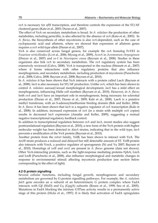 70 
veA is necessary for aflR transcription, and therefore controls the expression of the ST/AF 
clustered genes (Kato et al., 2003; Duran et al., 2007). 
The effect of VeA on secondary metabolism is broad. In A. nidulans the production of other 
metabolites, including penicillin, is also affected by the absence of veA (Kato et al., 2003). In 
A. flavus, the biosynthesis of other mycotoxins is also veA-dependent, such as the case of 
cyclopiazonic acid and aflatrem, where we showed that expression of aflatrem genes 
requires a veA wild-type allele (Duran et al., 2007). 
VeA is also conserved across fungal genera, for example the veA homolog FvVE1 in 
Fusarium verticilliodies (Li et al., 2006; Myung et al., 2009), AcveA in Acremonium chrysogenum 
(Dreyer et al., 2007) and ve-1 in Neurospora crassa (Bayram et al., 2008). Studies in these 
organisms also link veA to secondary metabolism. The veA regulatory system has been 
extensively reviewed (Calvo, 2008). VeA is transported to the nucleus (Stinnett et al., 2007) 
where it forms interactions with other regulatory proteins that also influence 
morphogenesis, and secondary metabolism, including production of mycotoxin (Purschwitz 
et al., 2008; Calvo, 2008; Bayram et al., 2008; Bayram et al., 2010). 
In A. nidulans it has been shown that VeA interacts with a protein called LaeA (Bayram et 
al., 2008). laeA is also necessary for ST/AF production. Unlike veA, which has been shown to 
control A. nidulans asexual/sexual morphological development, laeA has a mild effect on 
morphogenesis, influencing Hülle cell numbers (Bayram et al., 2010). However, in A. flavus 
both veA and laeA have an important role in morphogenesis, being necessary for sclerotial 
production (Duran et al., 2007; Duran et al., 2009; Kale et al., 2008). LaeA is a putative 
methyl transferase, with an S-adenosylmethionine binding domain (Bok and Keller, 2004). 
In A. flavus it has been shown that laeA is a negative regulator of veA transcription (Kale et 
al., 2008). In addition, increased expression of veA (in a strain with multiple veA copies) 
results in decreased laeA expression (Amaike and Keller, 2009), suggesting a mutual 
negative transcriptional regulatory feedback control. 
In addition to transcriptional regulation between veA and laeA, recent studies also suggest 
posttranslational regulation (Bayram et al., 2010); a new form of the VeA protein with higher 
molecular weight has been detected in laeA strains, indicating that in the wild type, laeA 
prevents a modification of the VeA protein (Bayram et al., 2010). 
Another protein from the velvet family, VelB, has been shown to interact with VeA. The 
ΔvelB strain produces a reduced and delayed but still detectable amount of ST. VelB protein 
also interacts with VosA, a positive regulator of sporogenesis (Ni and Yu 2007; Bayram et 
al., 2010). Homologs of velB and vosA are present in A. flavus genome (data not shown). 
Other VeA-interacting proteins, such as the light-response mediating proteins FphA, LreA 
and LreB (Purschwitz et al., 2008), also influence morphological and metabolic changes in 
response to environmental stimuli affecting mycotoxin production (see section below 
corresponding to the effect of light). 
Aflatoxins – Biochemistry and Molecular Biology 
4.2 G protein signalling 
Several cellular functions, including fungal growth, morphogenesis and secondary 
metabolism are governed by G-protein signalling pathways. For example, the A. nidulans 
fadA gene encodes an α subunit of an heterotrimeric G protein complex where FadA 
interacts with Gβ (SfaD) and Gγ (GpgA) subunits (Rosen et al., 1999; Seo et al., 2005). 
Mutations in FadA blocking the intrinsic GTPase activity results in a permanently active 
stage of this protein (Hicks et at., 1997). It is likely that activation of FadA upregulates 
 