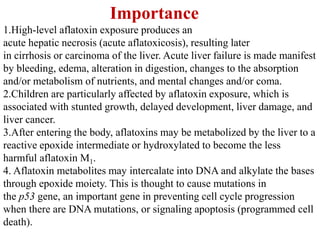 Importance
1.High-level aflatoxin exposure produces an
acute hepatic necrosis (acute aflatoxicosis), resulting later
in cirrhosis or carcinoma of the liver. Acute liver failure is made manifest
by bleeding, edema, alteration in digestion, changes to the absorption
and/or metabolism of nutrients, and mental changes and/or coma.
2.Children are particularly affected by aflatoxin exposure, which is
associated with stunted growth, delayed development, liver damage, and
liver cancer.
3.After entering the body, aflatoxins may be metabolized by the liver to a
reactive epoxide intermediate or hydroxylated to become the less
harmful aflatoxin M1.
4. Aflatoxin metabolites may intercalate into DNA and alkylate the bases
through epoxide moiety. This is thought to cause mutations in
the p53 gene, an important gene in preventing cell cycle progression
when there are DNA mutations, or signaling apoptosis (programmed cell
death).
 