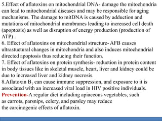 5.Effect of aflatoxins on mitochondrial DNA- damage the mitochondria
can lead to mitochondrial diseases and may be responsible for aging
mechanisms. The damage to mitDNA is caused by adduction and
mutations of mitochondrial membranes leading to increased cell death
(apoptosis) as well as disruption of energy production (production of
ATP) .
6. Effect of aflatoxins on mitochondrial structure- AFB causes
ultrastuctural changes in mitochondria and also induces mitochondrial
directed apoptosis thus reducing their function.
7. Effect of aflatoxins on protein synthesis- reduction in protein content
in body tissues like in skeletal muscle, heart, liver and kidney could be
due to increased liver and kidney necrosis.
8.Aflatoxin B1 can cause immune suppression, and exposure to it is
associated with an increased viral load in HIV positive individuals.
Prevention-A regular diet including apiaceous vegetables, such
as carrots, parsnips, celery, and parsley may reduce
the carcinogenic effects of aflatoxin.
 