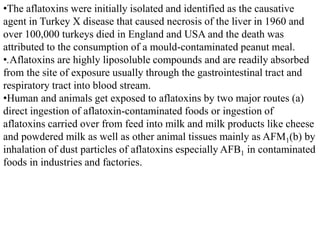 •The aflatoxins were initially isolated and identified as the causative
agent in Turkey X disease that caused necrosis of the liver in 1960 and
over 100,000 turkeys died in England and USA and the death was
attributed to the consumption of a mould-contaminated peanut meal.
•.Aflatoxins are highly liposoluble compounds and are readily absorbed
from the site of exposure usually through the gastrointestinal tract and
respiratory tract into blood stream.
•Human and animals get exposed to aflatoxins by two major routes (a)
direct ingestion of aflatoxin-contaminated foods or ingestion of
aflatoxins carried over from feed into milk and milk products like cheese
and powdered milk as well as other animal tissues mainly as AFM1(b) by
inhalation of dust particles of aflatoxins especially AFB1 in contaminated
foods in industries and factories.
 