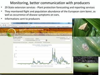 Monitoring, better communication with producers
• 29 State extension services - Plant protection forecasting and reporting services
• They monitored flight and population abundance of the European corn borer, as
well as occurrence of disease symptoms on ears.
• Informations sent to producers
 