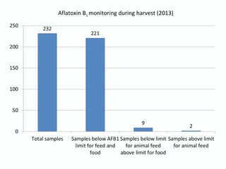 Aflatoxin B1 monitoring during harvest (2013)
 