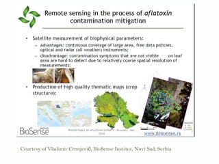 Courtesy of Vladimir Crnojevi , BioSense Institut,ć Novi Sad, Serbia
 