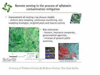 Courtesy of Vladimir Crnojevi , BioSense Institut,ć Novi Sad, Serbia
 