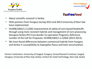 • About scientific research in Serbia
• With partners from Hungary during 2012 and 2013 University of Novi Sad
have implemented
• HUSRB/1002/1.2.2/062 Improvement of safety of corn-based feedstuffs
through using more resistant hybrids and management of corn processing
(Hungary-Serbia IPA Cross-border Co-operation Program), Reference
number of the Call for Proposals: HUSRB/1002/1.2.2/062 (2012-2013).
• We have found differences between commercial hybrids from Hungary
and Serbia in susceptibility to Aspergillus flavus and toxin accumulation.
ToxToxFreeFreeFeedFeed
Partner institutions: University of Szeged, Hungary; Cereal Research Institute, Szeged,
Hungary; University of Novi Sad, Serbia; Institut for Food Technology, Novi Sad, Serbia
 