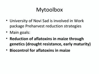 Mytoolbox
• University of Novi Sad is involved in Work
package Preharvest reduction strategies
• Main goals:
• Reduction of aflatoxins in maize through
genetics (drought resistance, early maturity)
• Biocontrol for aflatoxins in maize
 