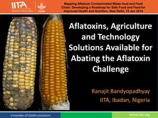 www.iita.orgA member of CGIAR consortium
Ranajit Bandyopadhyay
IITA, Ibadan, Nigeria
Aflatoxins, Agriculture
and Technology
Solutions Available for
Abating the Aflatoxin
Challenge
Mapping Aflatoxin Contaminated Maize food and Feed
Chain: Developing a Roadmap for Safe Food and Feed for
Improved Health and Nutrition, New Delhi, 15 Jan 2014
 