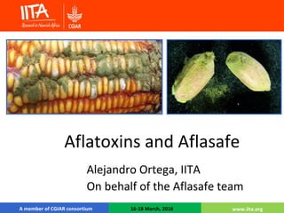 www.iita.org
Alejandro Ortega, IITA
On behalf of the Aflasafe team
A member of CGIAR consortium 16-18 March, 2016 www.iita.org
Aflatoxins and Aflasafe
 