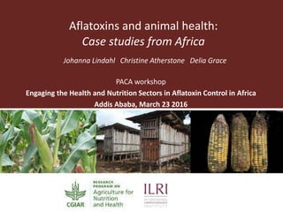 Aflatoxins and animal health:
Case studies from Africa
Johanna Lindahl Christine Atherstone Delia Grace
PACA workshop
Engaging the Health and Nutrition Sectors in Aflatoxin Control in Africa
Addis Ababa, March 23 2016
October 1 2014
 