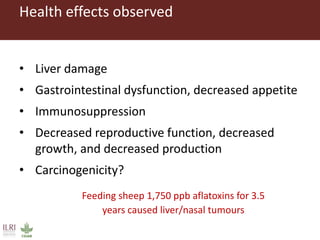 Aflatoxins and animal health: Case studies from Africa