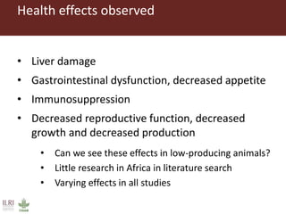 Health effects observed
• Liver damage
• Gastrointestinal dysfunction, decreased appetite
• Immunosuppression
• Decreased reproductive function, decreased
growth and decreased production
• Can we see these effects in low-producing animals?
• Little research in Africa in literature search
• Varying effects in all studies
 