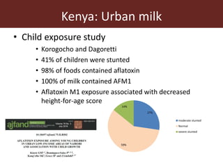 Kenya: Urban milk
• Child exposure study
• Korogocho and Dagoretti
• 41% of children were stunted
• 98% of foods contained aflatoxin
• 100% of milk contained AFM1
• Aflatoxin M1 exposure associated with decreased
height-for-age score
Kiarie et al. 2016, Afr J Food, Nutr Ag Dev
27%
59%
14%
moderate stunted
Normal
severe stunted
 