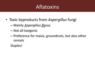 Aflatoxins
• Toxic byproducts from Aspergillus fungi
– Mainly Aspergillus flavus
– Not all toxigenic
– Preference for maize, groundnuts, but also other
cereals
Staples!
 