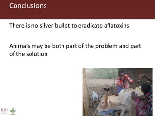 Conclusions
There is no silver bullet to eradicate aflatoxins
Animals may be both part of the problem and part
of the solution
 