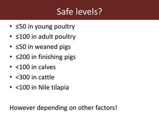 Aflatoxins in the dairy value chain: A challenge for the informal market?