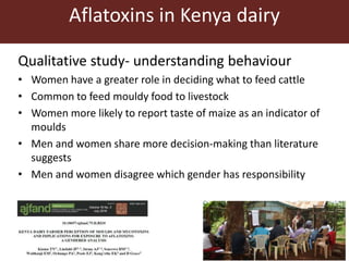 Aflatoxins in the dairy value chain: A challenge for the informal market?