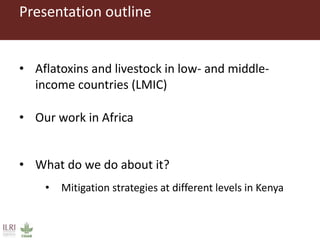 Aflatoxins in the dairy value chain: A challenge for the informal market?