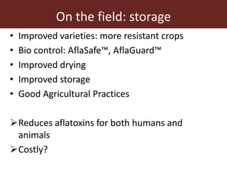 Aflatoxins in the dairy value chain: A challenge for the informal market?