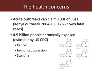 Aflatoxins in the dairy value chain: A challenge for the informal market?