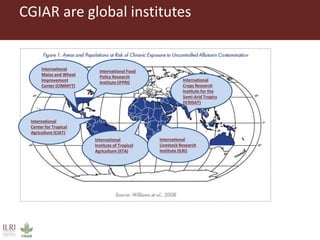 Aflatoxins in the dairy value chain: A challenge for the informal market?